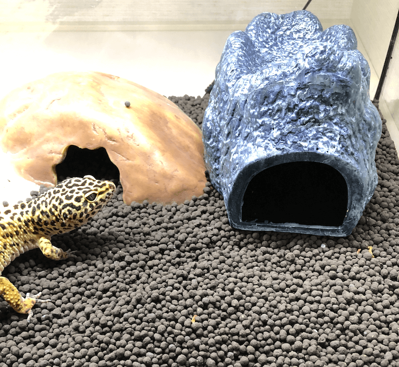 モイストロック