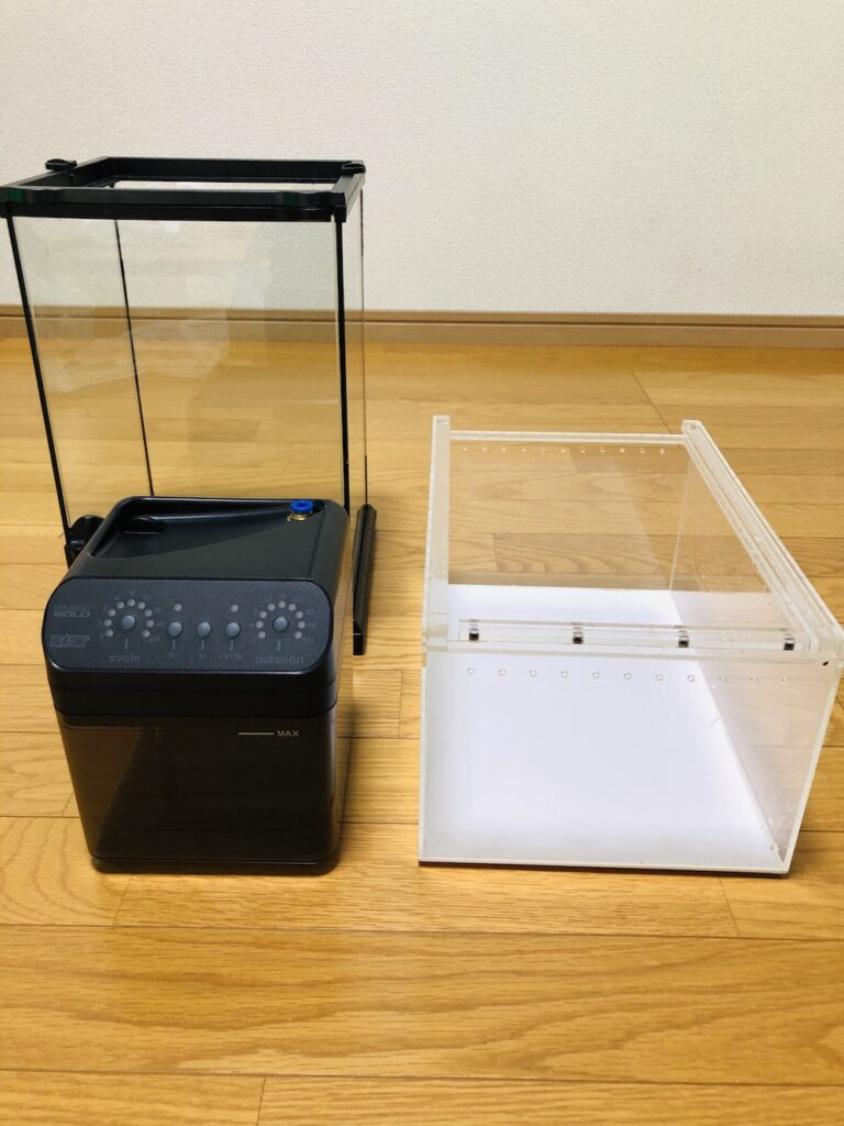 モンスーンソロレビュー