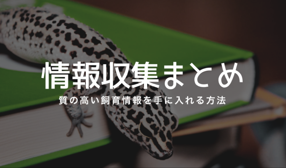 爬虫類の情報収集方法まとめ