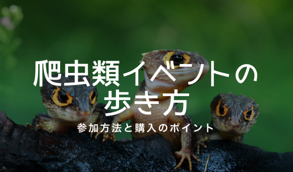爬虫類イベントの歩き方