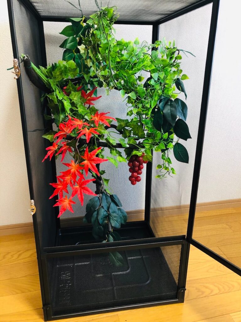 screen-terrarium-full