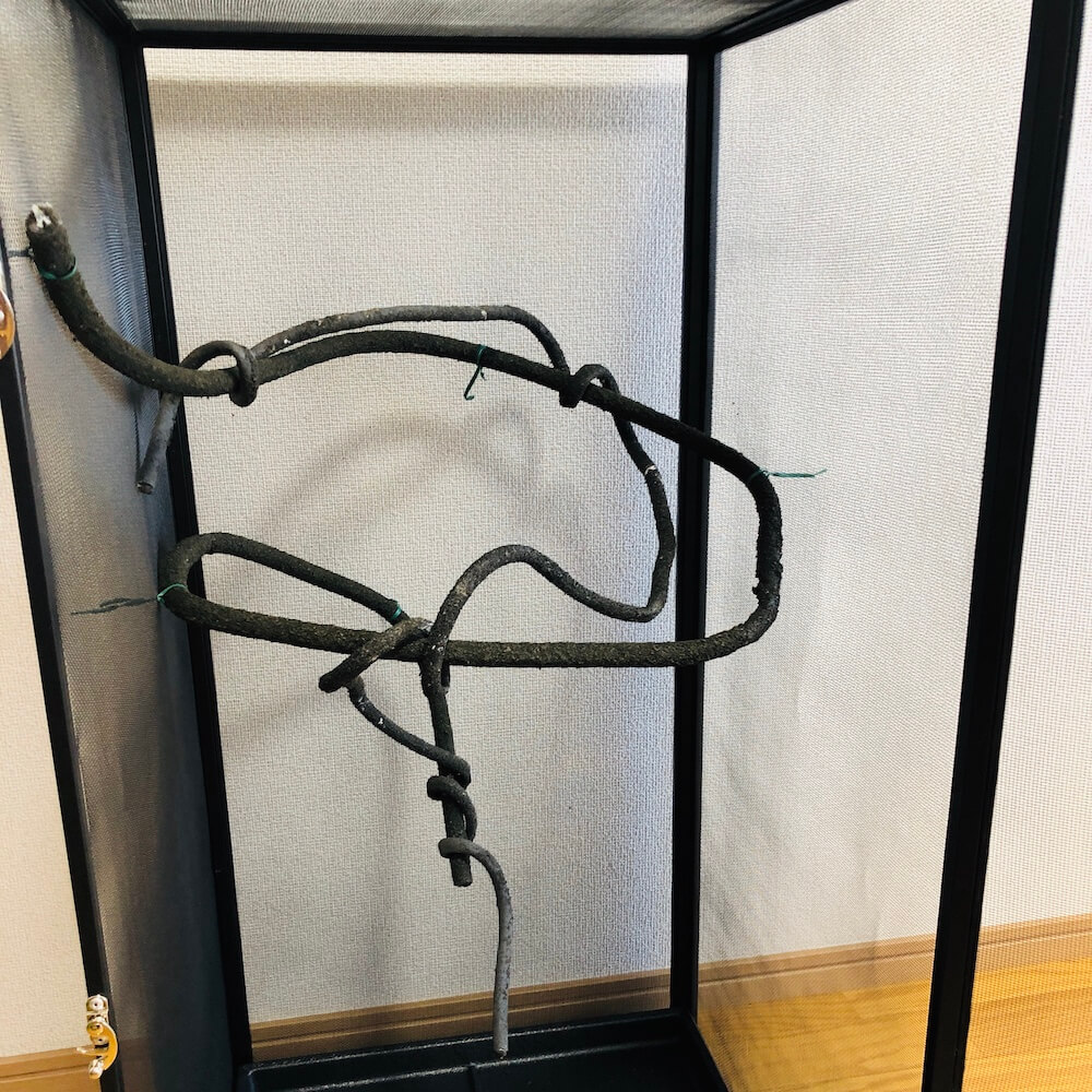 screen-terrarium-vine2