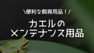 カエルのメンテナンス用品