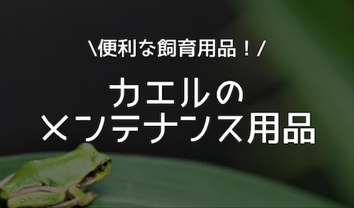 カエルのメンテナンス用品