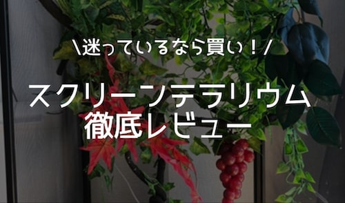 スクリーンテラリウムレビュー