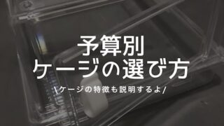 予算別爬虫類ケージ選び