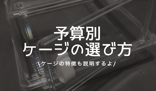 予算別爬虫類ケージ選び