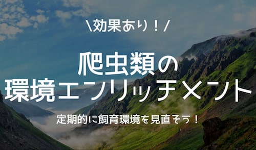 爬虫類の環境エンリッチメント