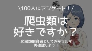 爬虫類は好きですか