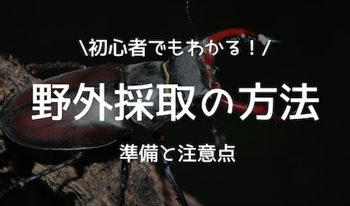 野外採取の方法