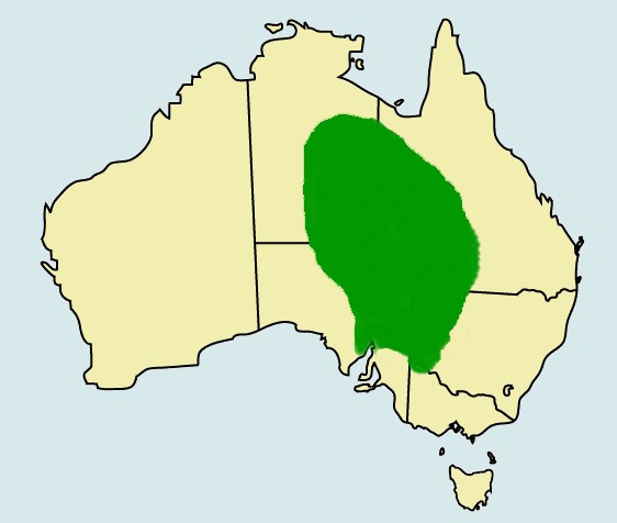 フトアゴヒゲトカゲの生息マップ