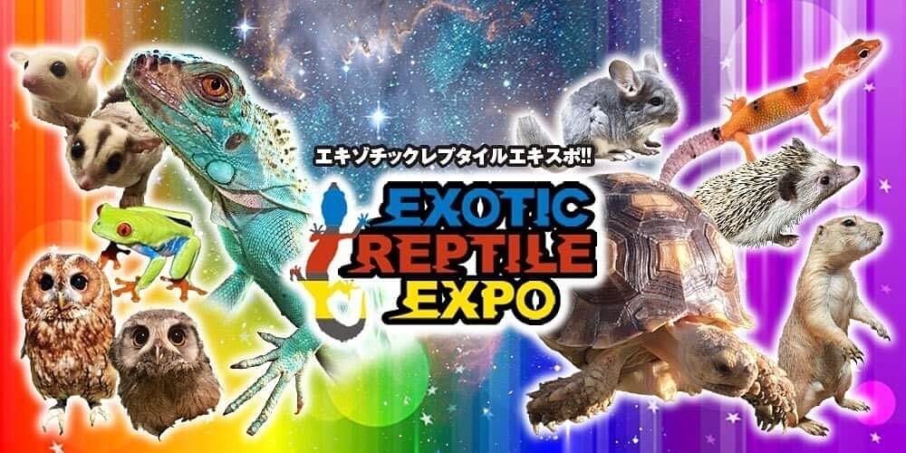 exotic-reptile-expoo