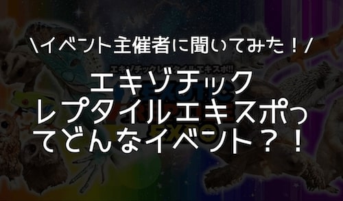 エキゾチックレプタイルエキスポ