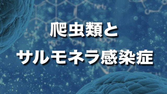 爬虫類とサルモネラ